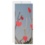 Heart Tree Rack Cards