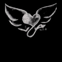 heart wings t-shirts
