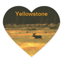 Heart Yellowstone Bull Moose Stickers