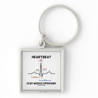 Heartbeat Is My Modus Operandi (Electrocardiogram) keychain
