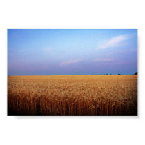 Heartland print