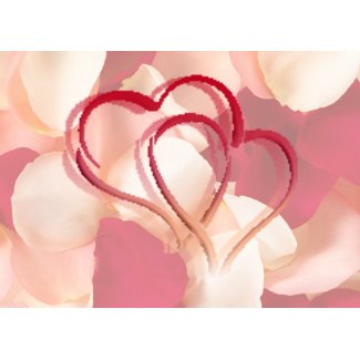 hearts and rose petals card