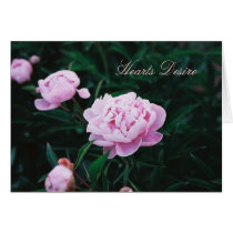 Hearts Desire cards by LeSnowCat Hearts Desire cards