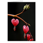 Hearts on a Curve Cards
