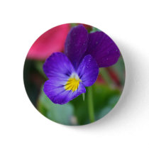 Heartsease buttons by _Prki_ Heartsease buttons