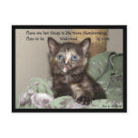 Heartwarming postcards