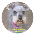 Heartworm Medicine Reminder Stickers by SchnauzerRescue Heartworm Medicine Reminder Stickers