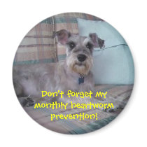 Heartworm Reminder Magnet magnets