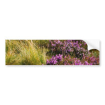 Heath bumper stickers by lifesphere Heath bumper stickers