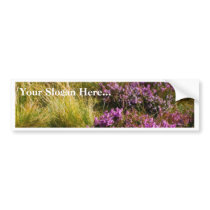 Heath bumper stickers by lifesphere Heath bumper stickers