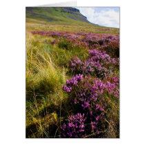 Heath cards by lifesphere Heath cards
