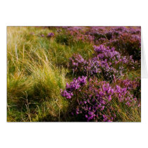 Heath cards by lifesphere Heath cards