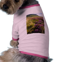 Heath pet clothing