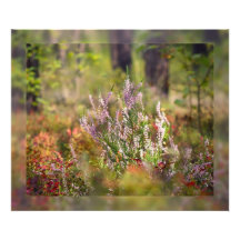 Heath forest photo print