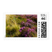 Heath postage by lifesphere Heath postage