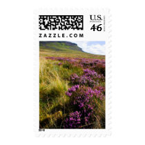 Heath postage by lifesphere Heath postage