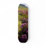 Heath Custom Skateboard