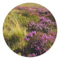 Heath stickers by lifesphere Heath stickers