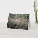 Heather and Wild Grass card