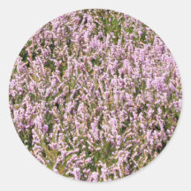 Heather Flowers Beautiful View Stickers