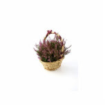 Heather In Basket With A Ribbon Acrylic Cut Out
