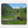 Heather Lake Mouse Mats