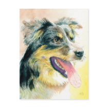 Heather the Border Collie Postcard