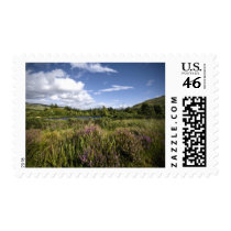 Heathland postage by SabineSt Heathland postage