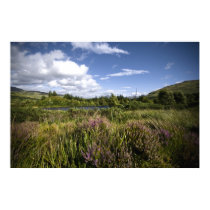 Heathland posters