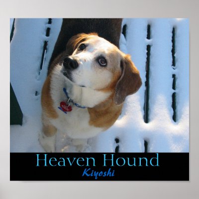 heaven hound