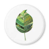 Heaven is Green magnets