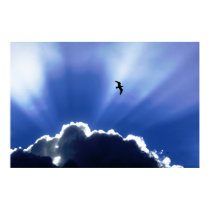 Heaven posters