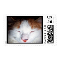 Heaven Sent Stamp