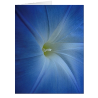 Heavenly Blue Morning Glory Close-Up Birthday Card