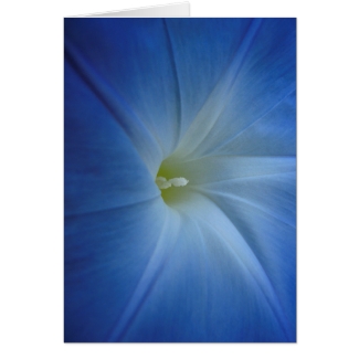 Heavenly Blue Morning Glory Close-Up Birthday Card