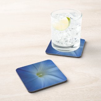 Heavenly Blue Morning Glory Close-Up Drink Coasters