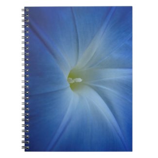 Heavenly Blue Morning Glory Close-Up Spiral Note Books
