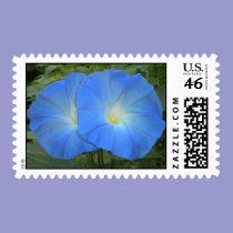 Heavenly Blue Morning Glory Duo postage stamps