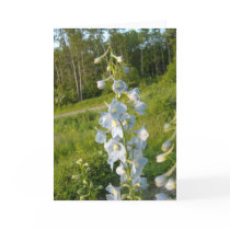 HEAVENLY BLUES cards
