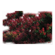 Heavenly Buds posters by cascharlie Heavenly Buds posters