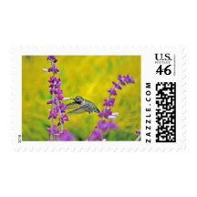 Heavenly Hummingbird Postage
