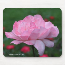 Heavenly Pink Rose Flower Photo Mousepad