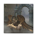 Heavens Gate magnets