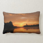 heavens gates pillows