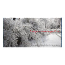 Heavy Hedges Photo Card photo cards by terraphotography Heavy Hedges Photo Card photo cards