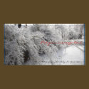 Heavy Hedges Photo Card photo cards by terraphotography Heavy Hedges Photo Card photo cards
