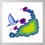 Heba Hummingbird Poster