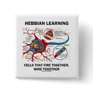 Hebbian Learning Cells Fire Together Wire Together button