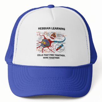 Hebbian Learning Cells Fire Together Wire Together hat