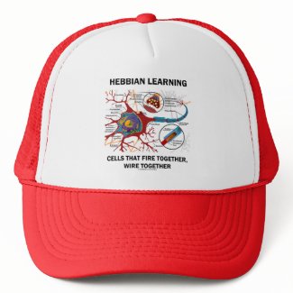 Hebbian Learning Cells Fire Together Wire Together hat